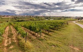 Agriturismo Tenute Poggio Di Bobi